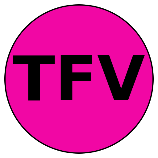 TrustFit Vision